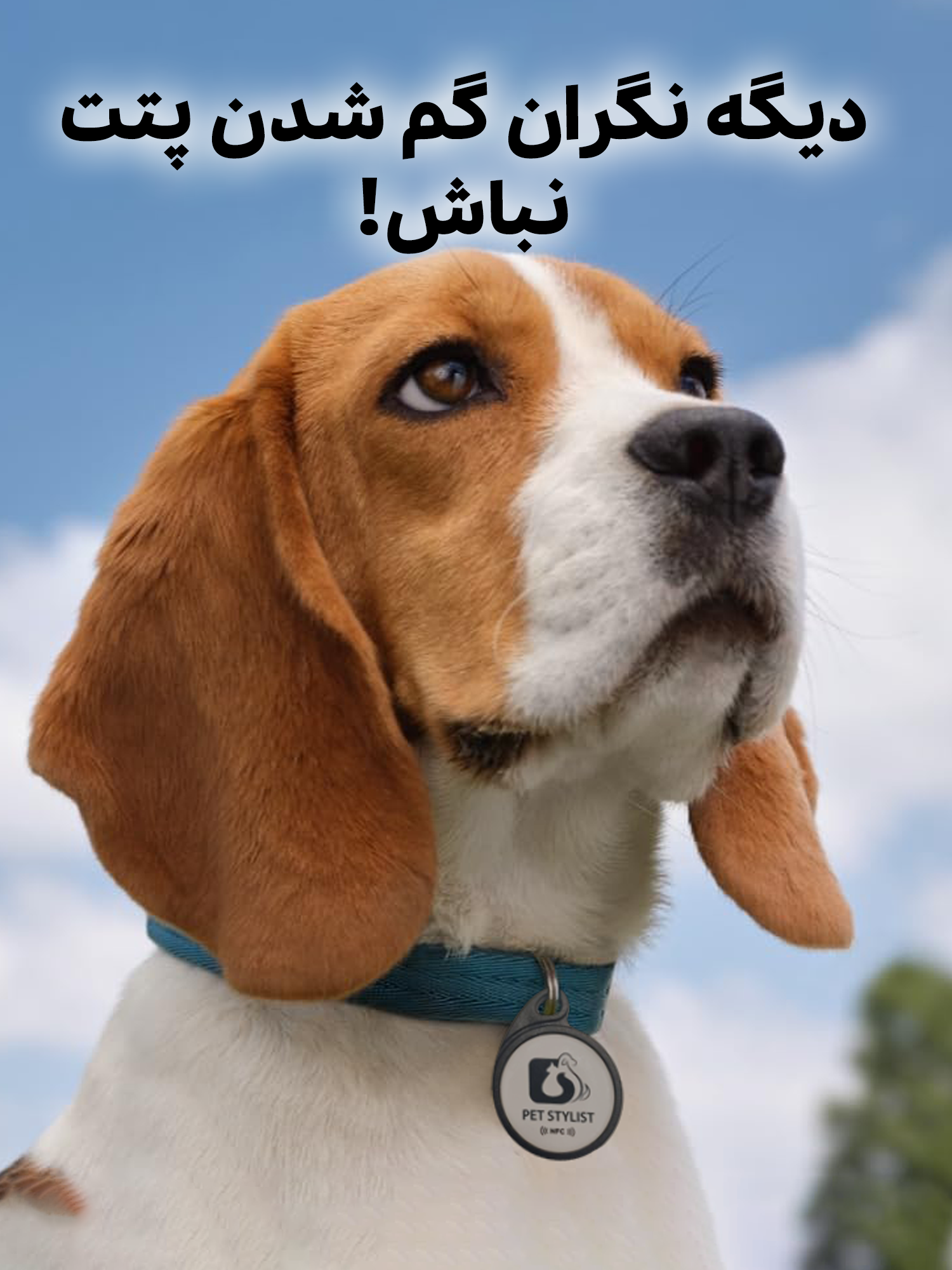 پت تگ